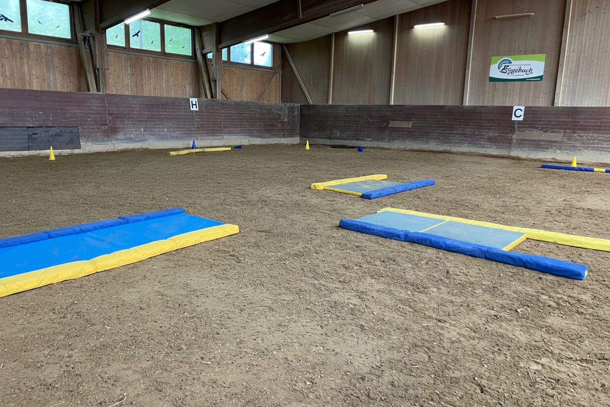 Matte für Equigym 300*100cm Stärke 5 oder 8cm verschweisste Seiten