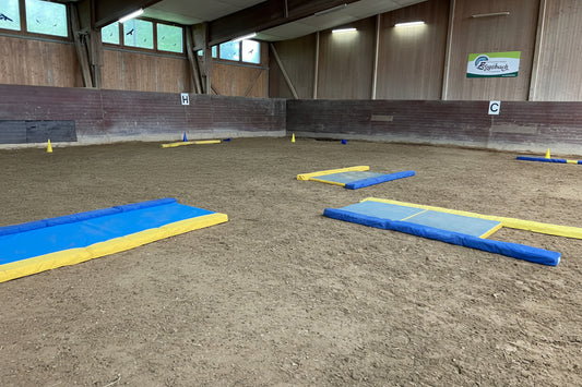 Matte für Equigym 300*100cm Stärke 5 oder 8cm verschweisste Seiten