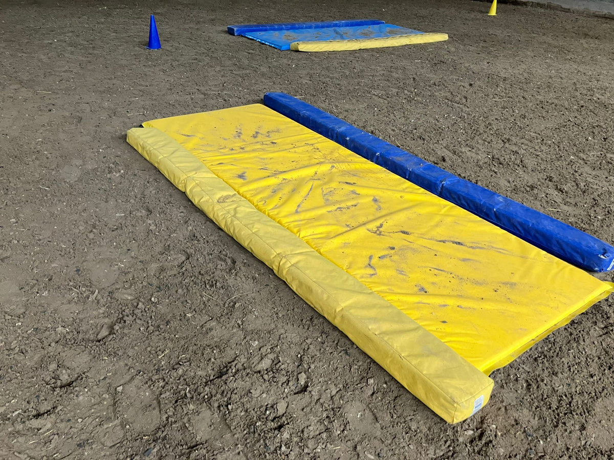 Matte für Equigym 300*100cm Stärke 5 oder 8cm verschweisste Seiten