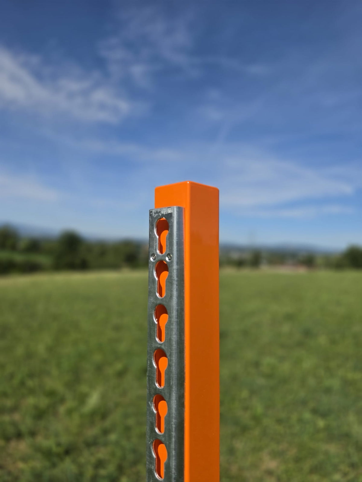 Sprung- Hindernisständer 170 cm Alu