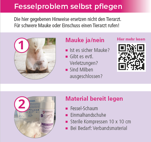 Bäralis Fessel-Schaum 100ml
