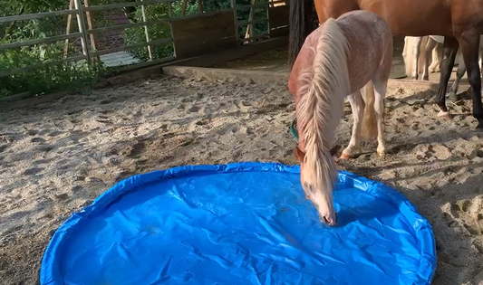 Wassergraben rund 80cm oder 1m Durchmesser