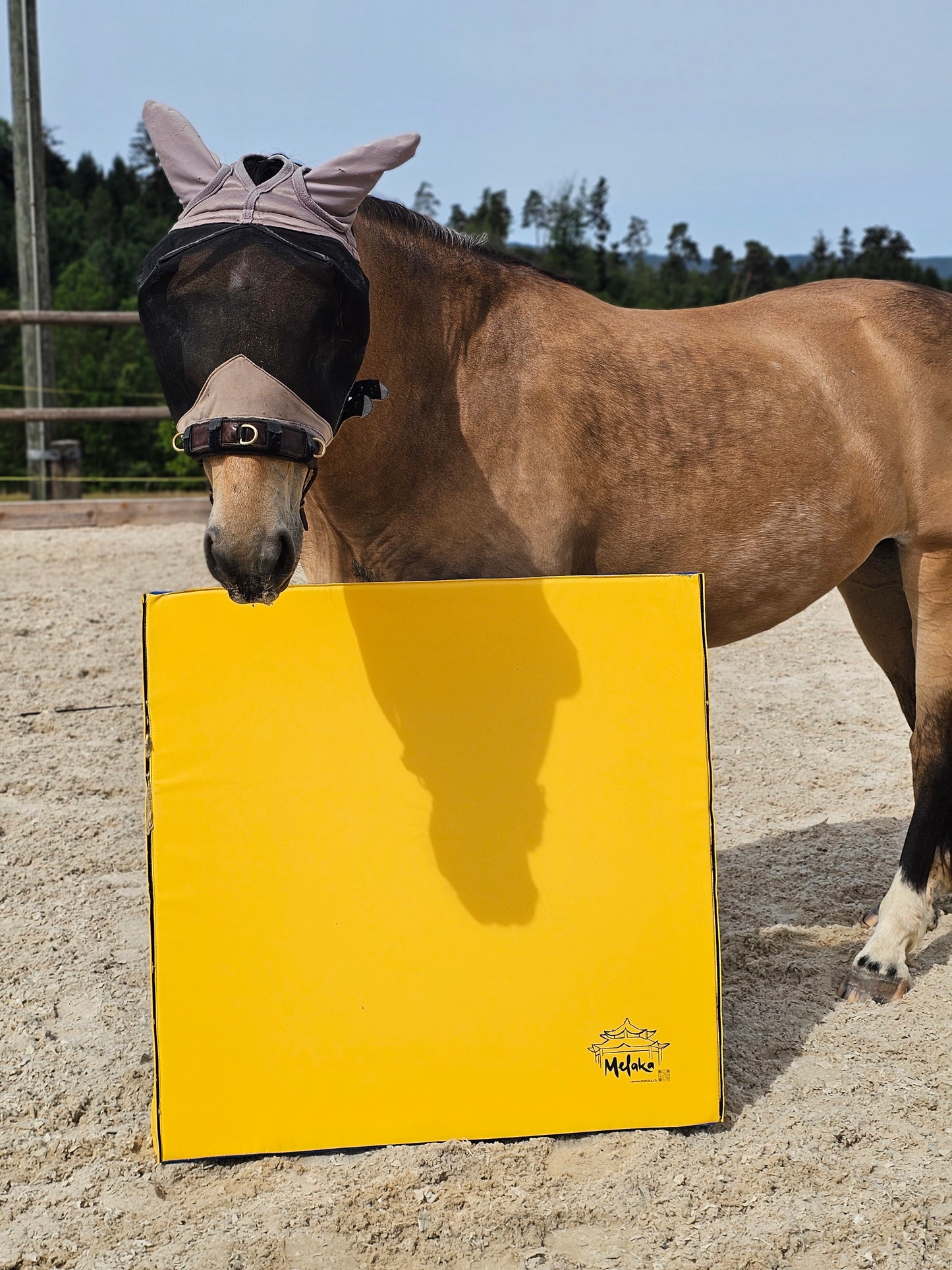 Equigym Portable Matten 50*100cm / 100*100cm in 5cm und 8cm Stärke zum Kletten