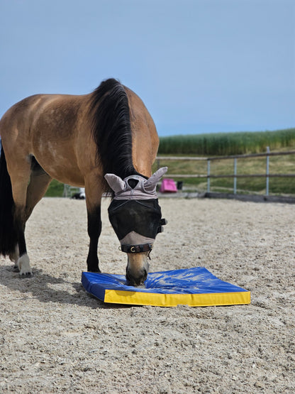 Equigym Portable Matten 50*100cm / 100*100cm in 5cm und 8cm Stärke zum Kletten