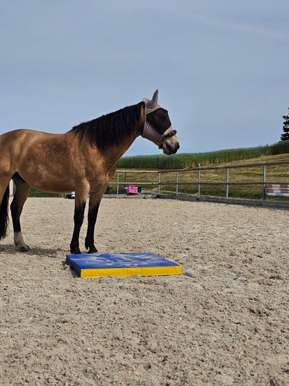 Equigym Portable Matten 50*100cm / 100*100cm in 5cm und 8cm Stärke zum Kletten